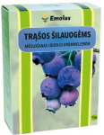 Mustikav&auml;etis 1 kg