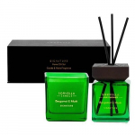 Luksuslik kinkekomplekt Signature Home Gift Set Bergamot & Musk difuusor+k&uuml;&uuml;nal