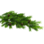 Kunstlik kuuseoks k&auml;bidega 0.6 m