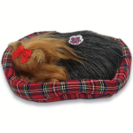 Magav Kass Lemmiklooma Padjal Nuku M&auml;nguasi, 1 vnt auksaspalvis retriveris