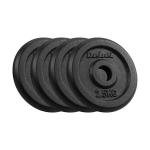 Malmist raskuste komplekt Rebel Active 4x2,5kg, 31mm auk, klassikaline ketas