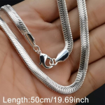 Titaanist kaelakee, 50 cm / 19,69 colio