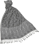 Naised paisley pashmina sallid on t&auml;iesti &scaron;ikk ja mitmek&uuml;lgsed sallid