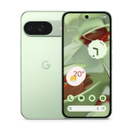 Google Pixel 9 5G Dual Sim 12GB RAM 256GB Wintergreen