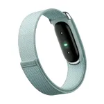 Watch Google Fitbit Air Fog