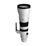 Sigma 300-600mm f/4 DG OS Sports Lens (Sony E)