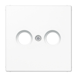 TV/R antenni pesa/mehhanismi viimistlus LS990 JUNG LS990TVWW (valge)