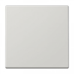 viimistlus JUNG LS990 (hall)