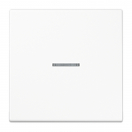 1 v&otilde;tme kaunistus indikaatoriga LS990 JUNG LS990KO5WW (valge)