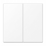 2 v&otilde;tmega viimistlus LS990 JUNG LS995WW (valge)