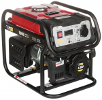 GENERAATOR DY-1020/PRO 800 W Dynamo