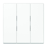 Viimistlus LS990 JUNG LS993BFWW (valge)