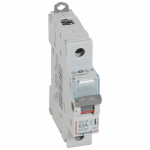 Eraldusl&uuml;liti DX-IS Legrand 406412