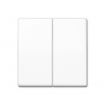 Kahe v&otilde;tmega viimistlus AS JUNG AS591-5WW (valge)