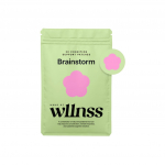 BRAINSTORM - plaastrid igap&auml;evaseks rutiiniks