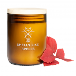 L&otilde;hnak&uuml;&uuml;nal IDUNN