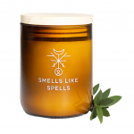 L&otilde;hnak&uuml;&uuml;nal KVASIR