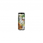 Kombucha jook KOOKOS JA ANANASS