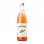 Gaseeritud j&otilde;hvikajook DZERVENU
