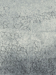 Vaip Alfa 3545/WS22, hall v., 230 cm x 160 cm