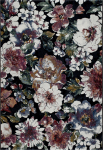 Vaip Domoletti Argentum 063-0528-3626, eriv&auml;rviline/must/punane, 290 cm x 200 cm