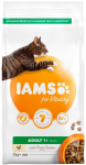 Kuiv kassitoit IAMS Vitality, kanaliha, 2 kg