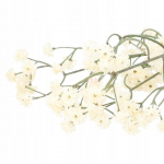 Kunstlill Homla Cladel, hele pruun - ecru, 24 cm