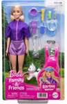Nukk aksessuaaridega Mattel Barbie Family & Friends Malibu JJV59, 29 cm, mitmev&auml;rviline