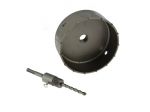 Augufrees Geko G40010, 15 cm