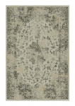 Vaip Domoletti Royal Palace 14748/5353, eriv&auml;rviline/pruun v., 230 cm x 160 cm