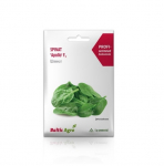 Seemned Baltic Agro, spinat Apollo, 5 g