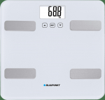 Kaal Blaupunkt BSM501