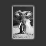 Reproduktsioon Wallity 4570MDACT-051, 45 cm