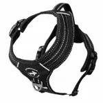 Koerte traksid All For Dogs 3x Sport, must v., 500 - 600 mm, XS