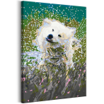 Maalimine numbrite j&auml;rgi Artgeist Shake It Off MA_0624, mitmev&auml;rviline, 40 x 60 cm