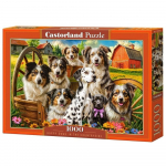 Pusle Castorland Happy Dogs In The Countryside, 47 cm x 68 cm, 1000 tk, mitmev&auml;rviline