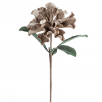 Kunstlill Flore 873, beež v., 75 cm x 30 cm