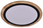 Nutivalgustus plafoon CristalRecord Hasbi 25-175-28-116, LED, 3000 - 6000 &deg;K, 3 x 38 W, valge v. / pruun v., 60 x 60 cm