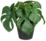 Kunsttaim potis, monstera Splendid, roheline v., 23 cm x 20 cm