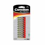 Patareid Camelion, AAA