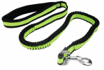Koera rihm Pet Nova, must v./roheline v., L