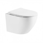 WC-pott, seinapealne Laveo Desna CycleOn 2.0, kaanega, 360 mm x 490 mm