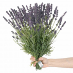 Kunsttaim, lavendel AmeliaHome Lavi, roheline v./violetne v., 40 cm