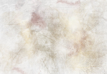 Fototapeet Artgeist Summer Memory - Abstract Background With Shadow Of Dried Leaves, 70 cm x 100 cm