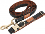Kaelarihm koertele Zolux Mayfair, pruun v., 300 - 510 mm x 20 mm, 30-51