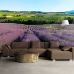 Fototapeet Artgeist Lavender Fields XXLFTNT0948SAM, 231 cm x 294 cm