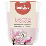 K&uuml;&uuml;nal, l&otilde;hna Bolsius Blooming Magnolia, 25 h, Roosa v.
