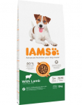 Kuiv koeratoit IAMS Advanced Nutrition S/M, lambaliha, 12 kg