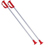 Kepp Diana Ski Poles, 2 tk