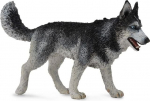 M&auml;ngukujuke Collecta Siberian Husky 88707, 10.5 cm, valge v./hall v.